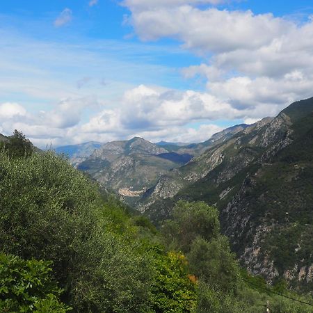 Modestie Villa Breil sur Roya Bagian luar foto