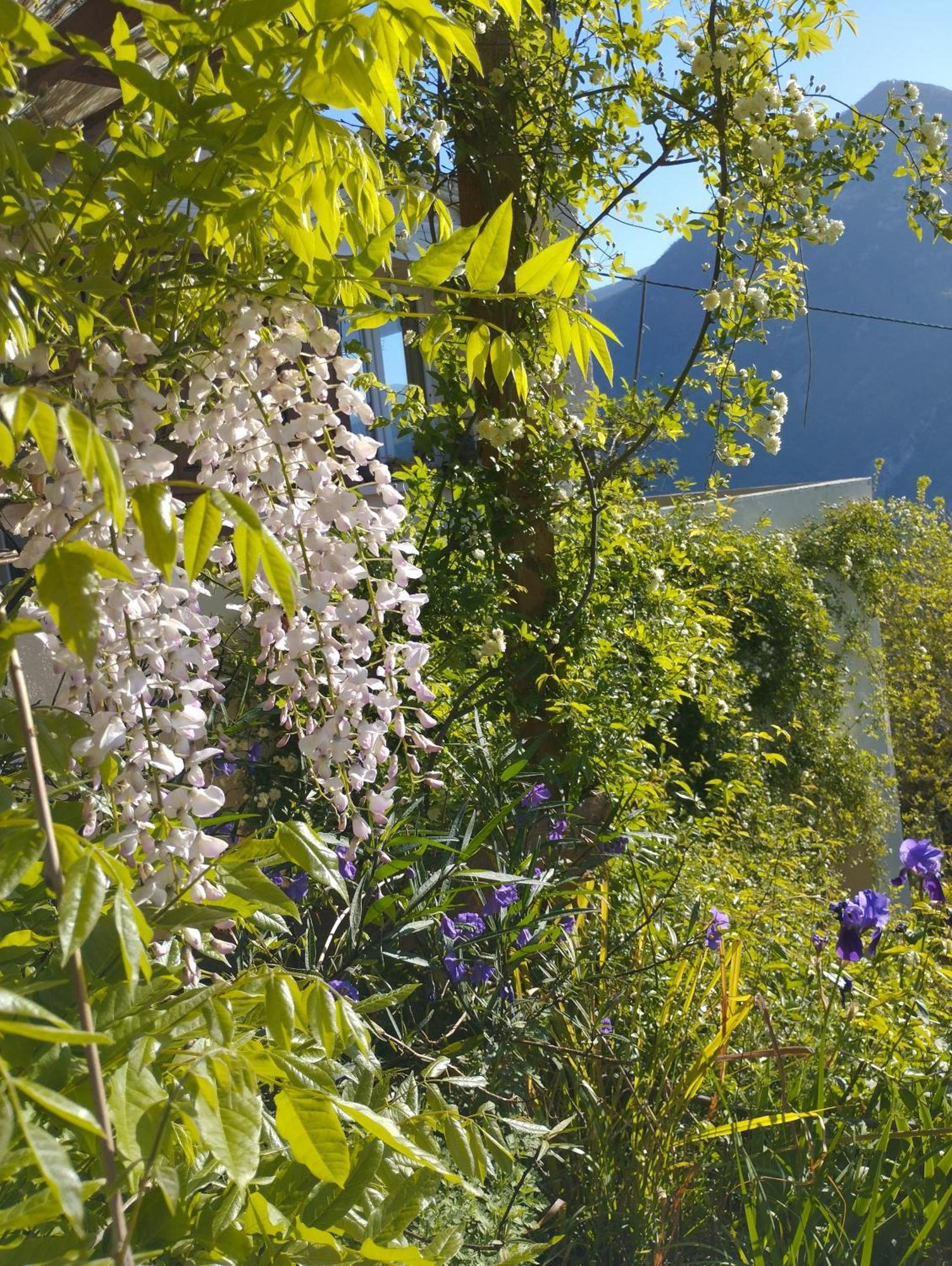 Modestie Villa Breil sur Roya Bagian luar foto